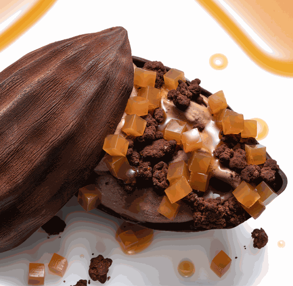 Imagen de Odoo y bloque de texto