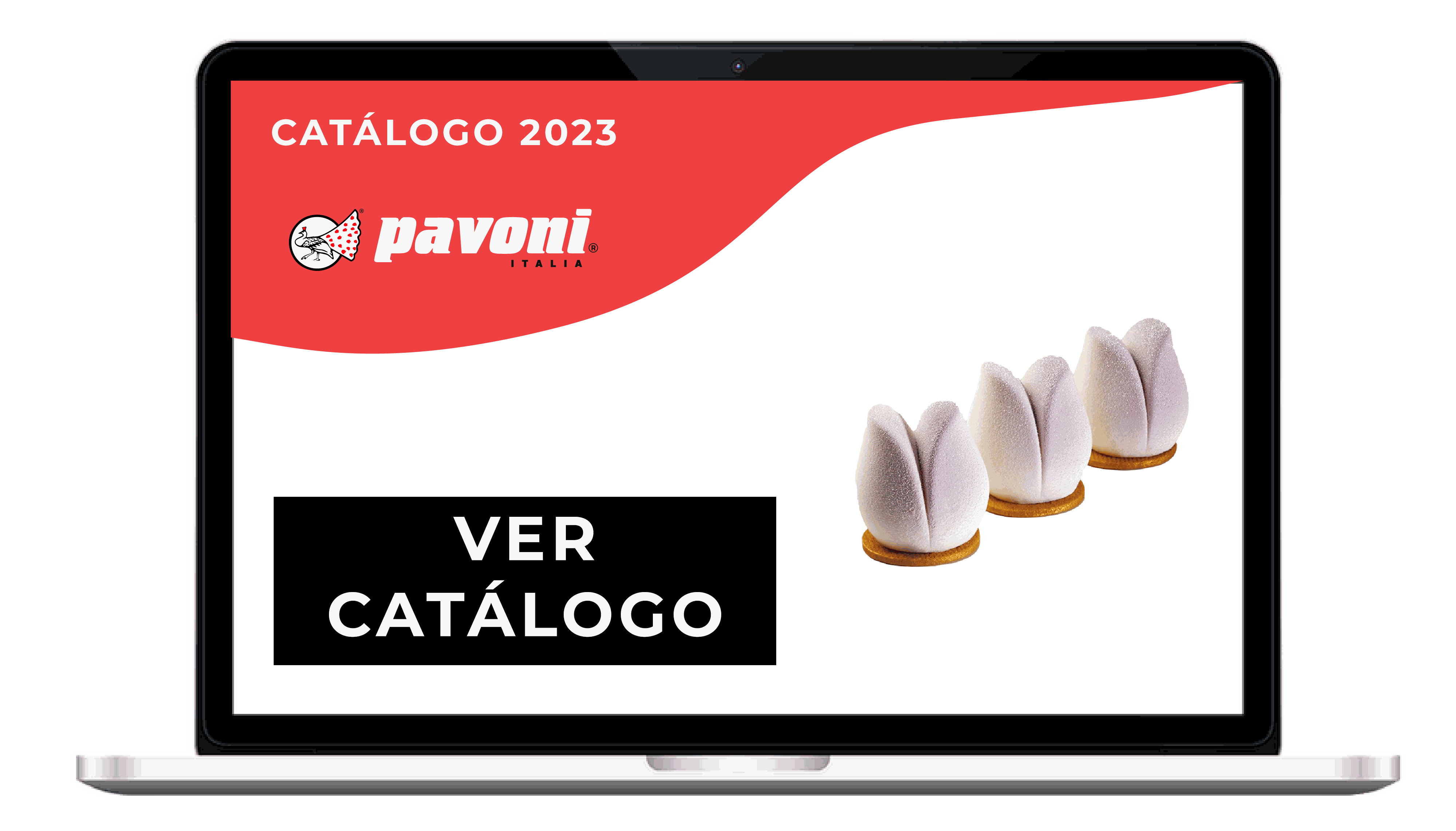 Texto de Odoo y bloque de imagen