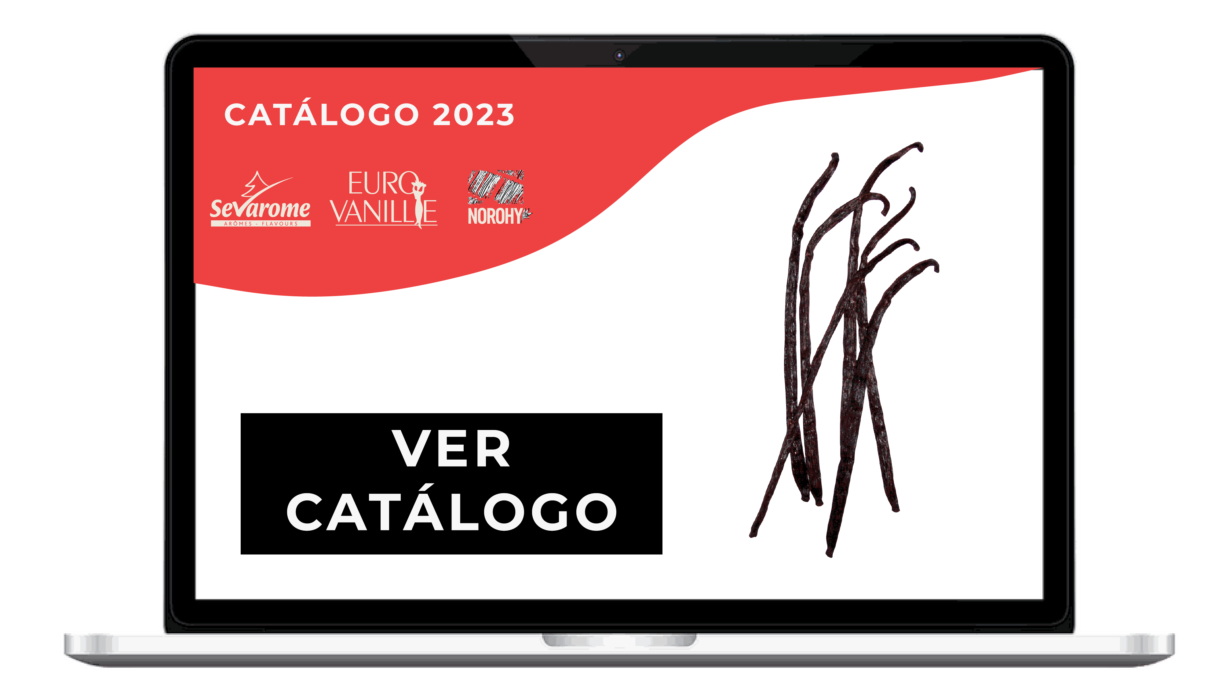 Texto de Odoo y bloque de imagen