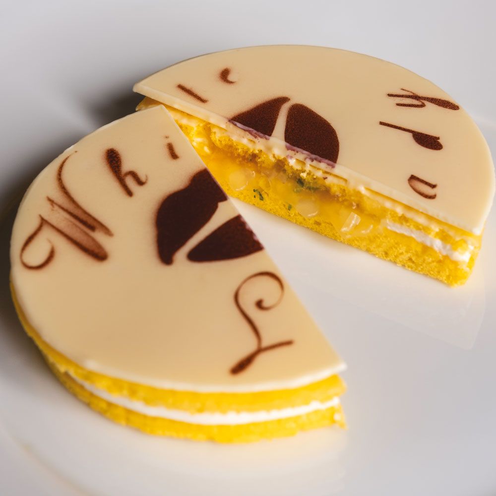 MOLDE GOURMAND SILICONA GG004 DISCO