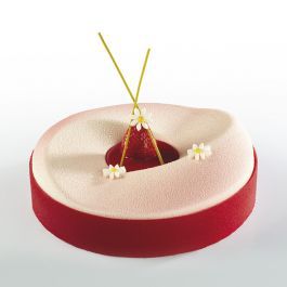 MOLDE SILICONA TORTA PAVOCAKE KE003