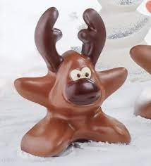 MOLDE PLASTICO TERMOFORMADO KT133 RENO ESTRELLA